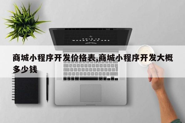商城小程序开发价格表,商城小程序开发大概多少钱