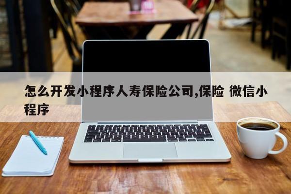 怎么开发小程序人寿保险公司,保险 微信小程序
